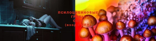 таблы Алзамай