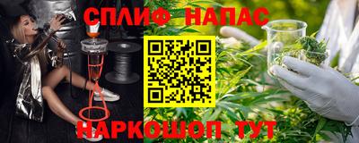 мдпв Славгород