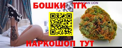 мдпв Славгород