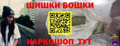 мдпв Славгород
