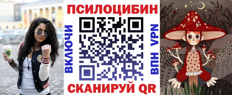 Псилоцибиновые грибы Psilocybe  нарко площадка формула  Саров  сколько стоит 