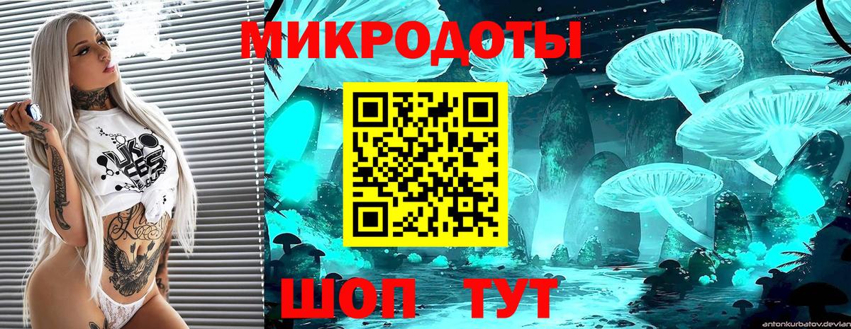 Саров  Галлюциногенные грибы Cubensis  Вход с VPN 
