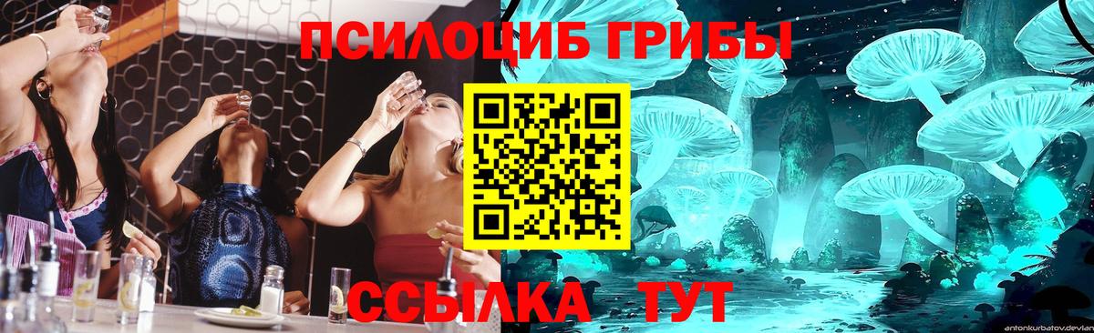 Галлюциногенные грибы Psilocybine cubensis Саров